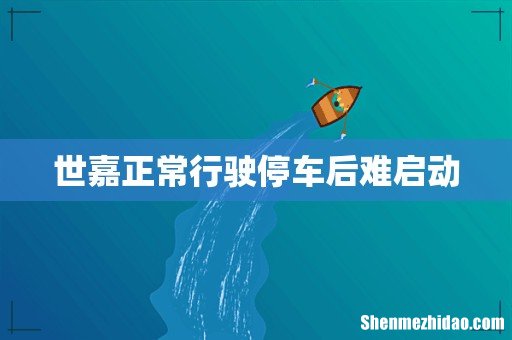 世嘉正常行驶停车后难启动
