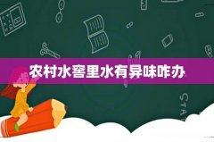 农村水窖里水有异味咋办