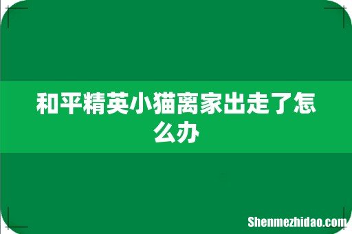 和平精英小猫离家出走了怎么办