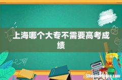 上海哪个大专不需要高考成绩