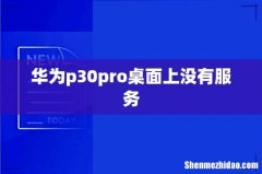 华为p30pro桌面上没有服务
