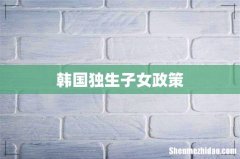 韩国独生子女政策