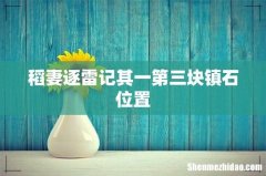 稻妻逐雷记其一第三块镇石位置