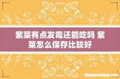 紫菜有点发霉还能吃吗 紫菜怎么保存比较好