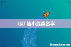 槑头槑脑小武真名字