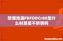 防爆地漏FBFDDCr80是什么材质是不锈钢吗