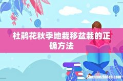 杜鹃花秋季地栽移盆栽的正确方法