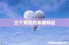 三个男孩的家庭特征