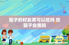 茄子的籽发黑可以吃吗 吃茄子会黑吗