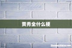 贾秀全什么梗