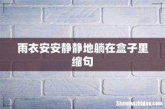 雨衣安安静静地躺在盒子里缩句