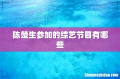 陈楚生参加的综艺节目有哪些