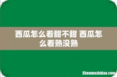西瓜怎么看甜不甜 西瓜怎么看熟没熟