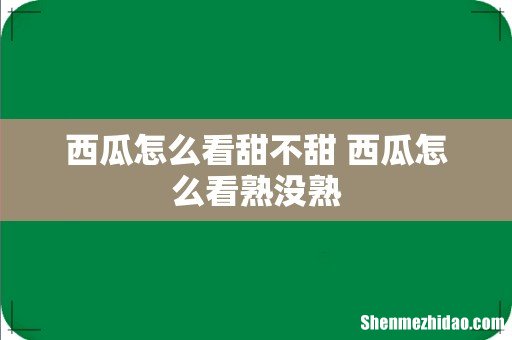 西瓜怎么看甜不甜 西瓜怎么看熟没熟