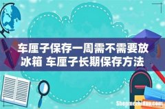 车厘子保存一周需不需要放冰箱 车厘子长期保存方法