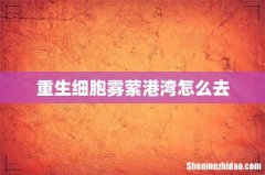 重生细胞雾萦港湾怎么去