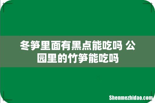 冬笋里面有黑点能吃吗 公园里的竹笋能吃吗