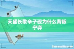 天盛长歌辛子砚为什么背叛宁弈