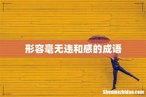 形容毫无违和感的成语