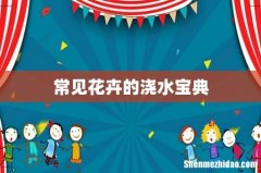 常见花卉的浇水宝典