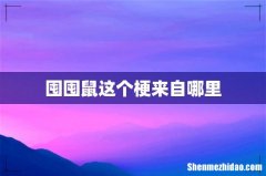 囤囤鼠这个梗来自哪里