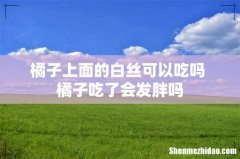 橘子上面的白丝可以吃吗 橘子吃了会发胖吗
