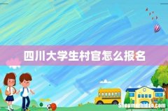 四川大学生村官怎么报名