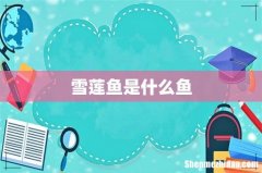 雪莲鱼是什么鱼
