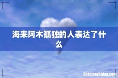 海来阿木孤独的人表达了什么