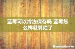 蓝莓可以冷冻保存吗 蓝莓怎么样就算烂了
