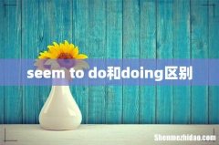 seem to do和doing区别