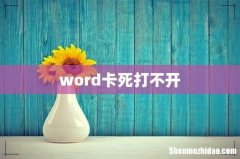 word卡死打不开