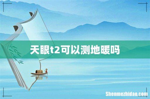 天眼t2可以测地暖吗