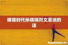 裸婚时代孙晓娆对文章说的话