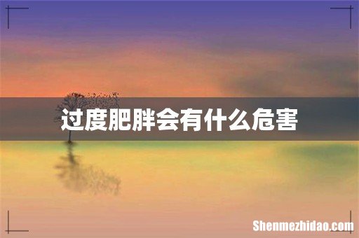 过度肥胖会有什么危害