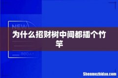 为什么招财树中间都插个竹竿
