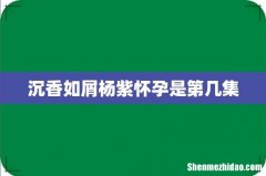 沉香如屑杨紫怀孕是第几集