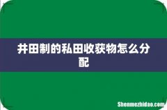 井田制的私田收获物怎么分配