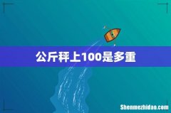 公斤秤上100是多重