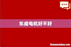 东威电机好不好