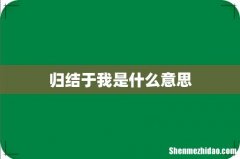 归结于我是什么意思