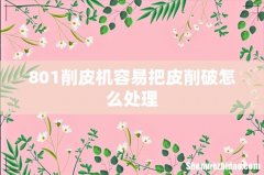 801削皮机容易把皮削破怎么处理