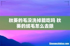 秋葵的毛没洗掉能吃吗 秋葵的绒毛怎么去除