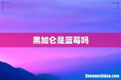 黑加仑是蓝莓吗