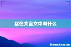 猪在文言文中叫什么