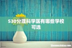 530分理科学医有哪些学校可选