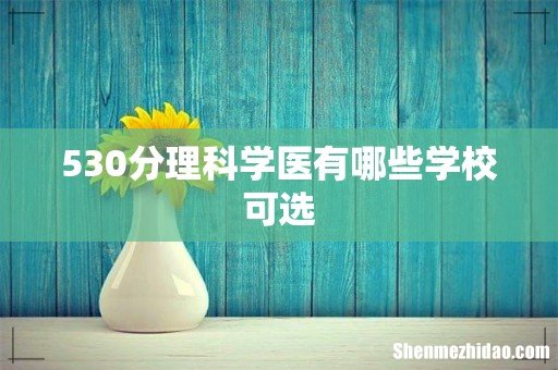530分理科学医有哪些学校可选