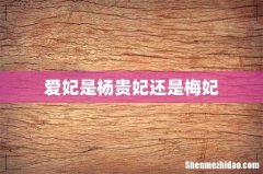 爱妃是杨贵妃还是梅妃