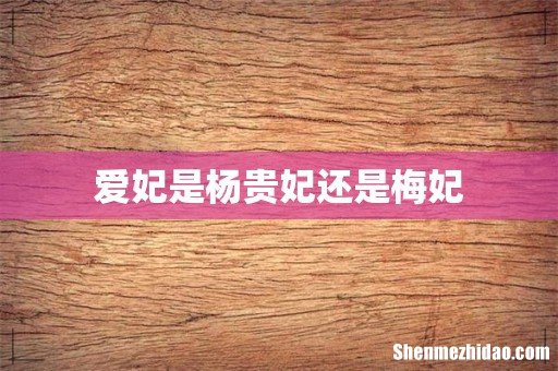 爱妃是杨贵妃还是梅妃