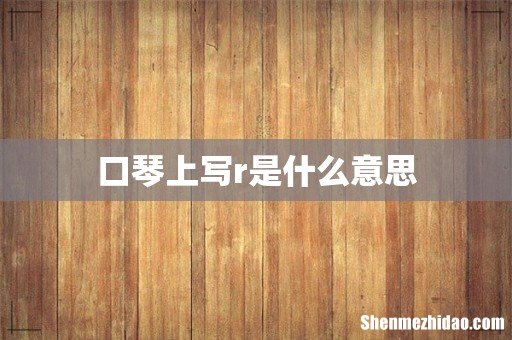 口琴上写r是什么意思